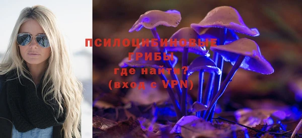 Альфа ПВП Осинники