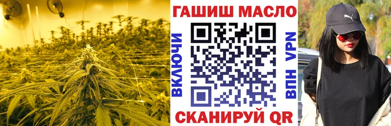 ТГК концентрат  дарк нет Telegram  Миньяр 