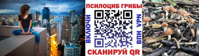 Галлюциногенные грибы Psilocybe мориарти какой сайт Миньяр